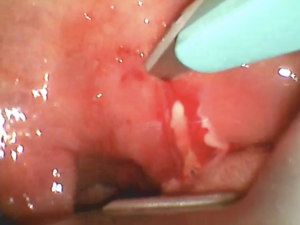 Screenshot 2025 01 31 at 12.36.15 PM